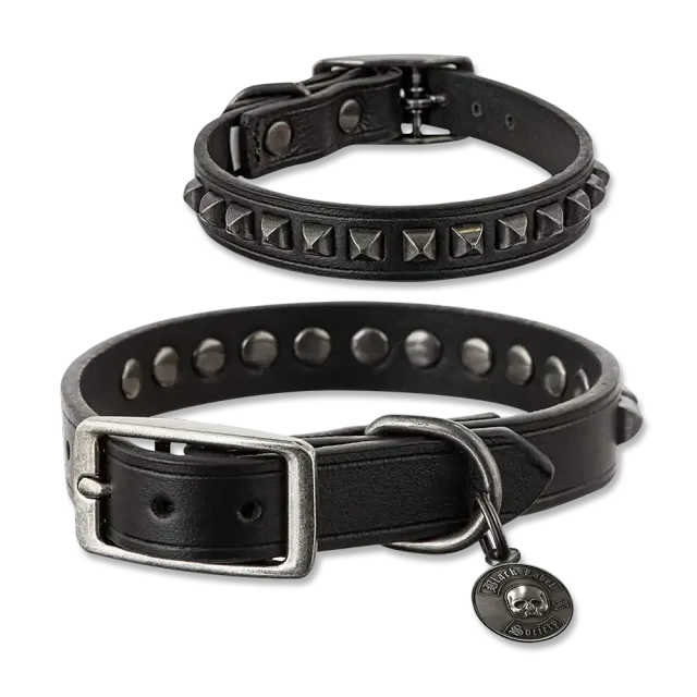 Zakk Wylde Black Label Society SDMF hundhalsband läder